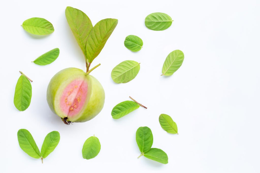 Guava fruit and benefits for dogs