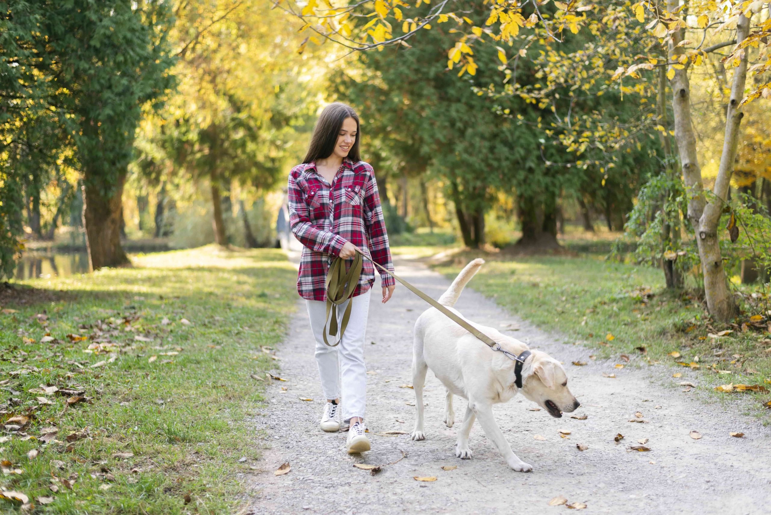 She walk the dog. Женщина выгуливает собаку. Прогулка в собакой в городском парке. Выгул собак в парке. Одежда для выгуливания собак для людей.